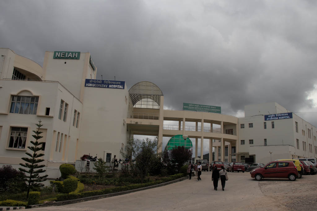 North Eastern Institute of Ayurveda and Homeopathy - North Eastern Institute Of Whole Health
